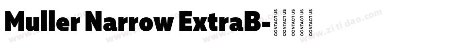 Muller Narrow ExtraB字体转换